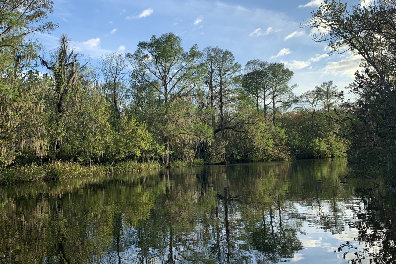 bayou new orleans