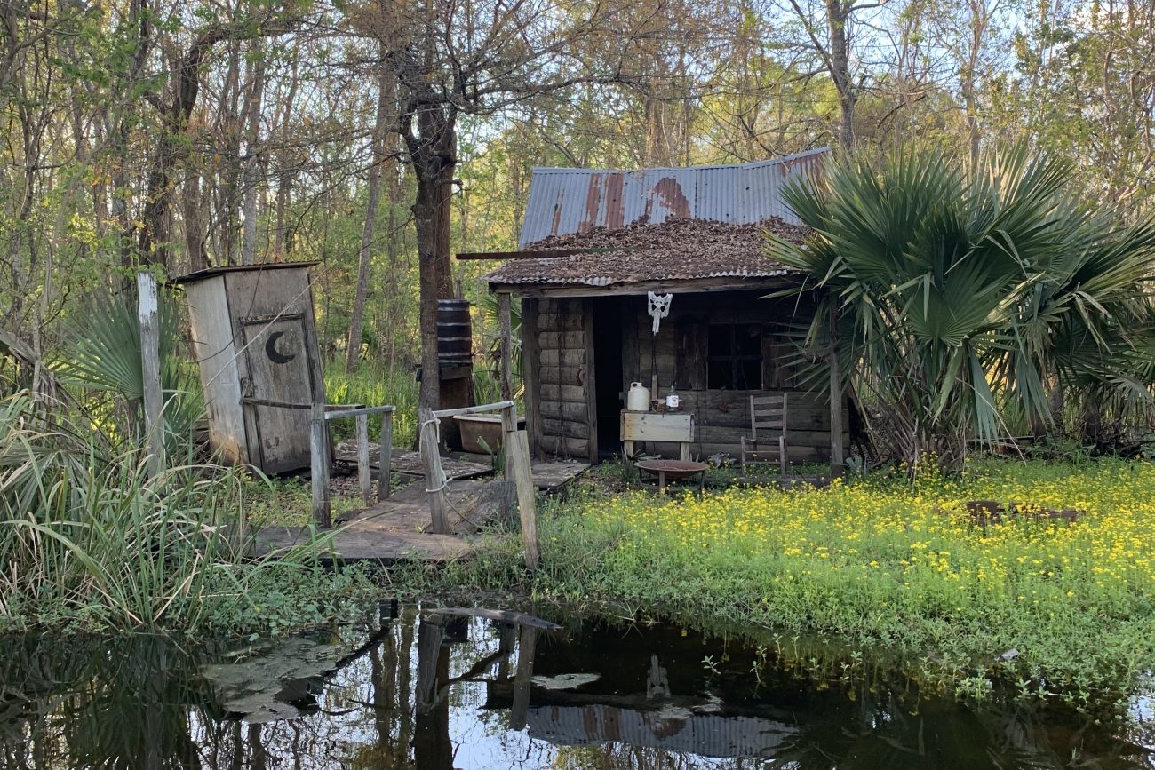 bayou new orleans