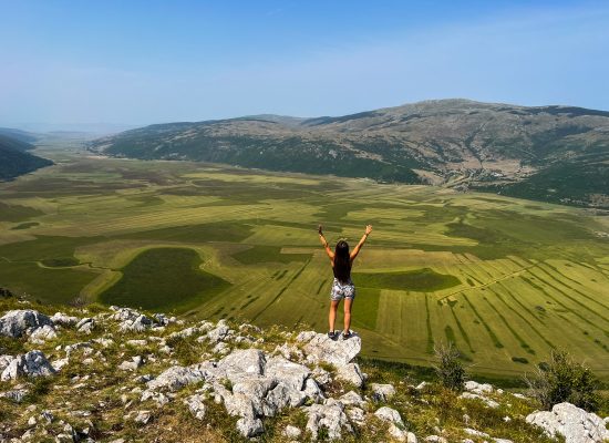 livno quads and wildhorses