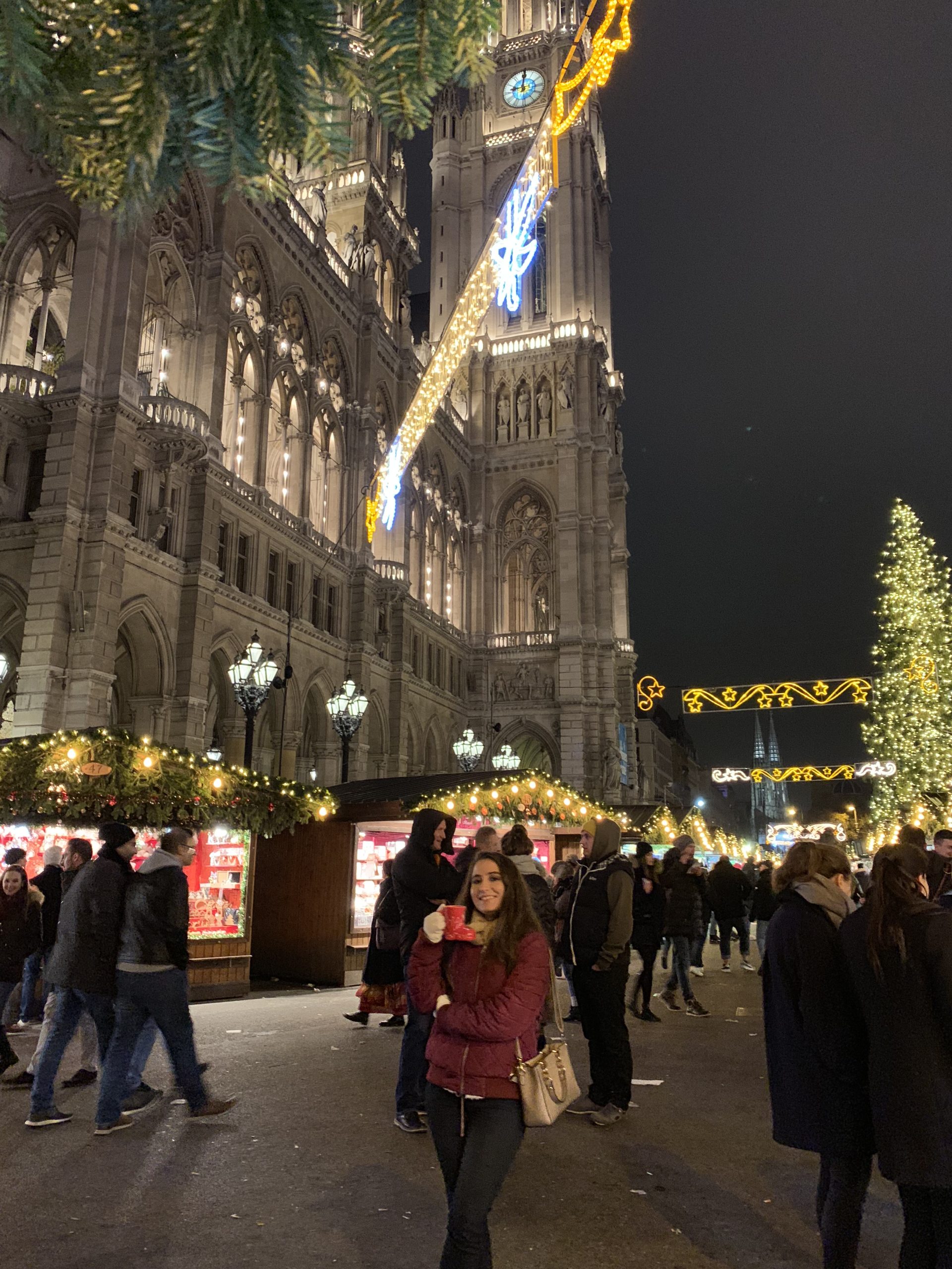 vienna austria christmas market