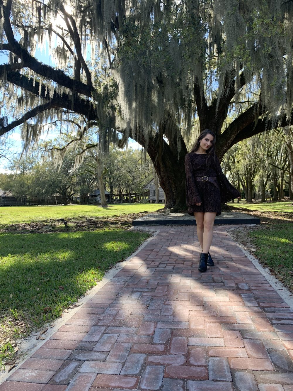 new orleans plantation - chocolate brown style