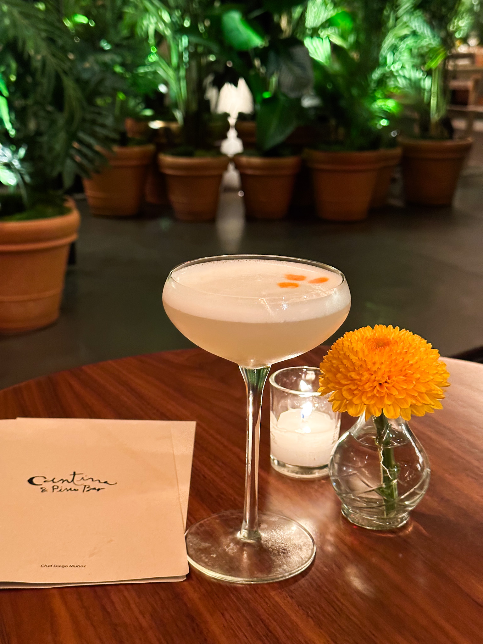 cantina public hotels nyc