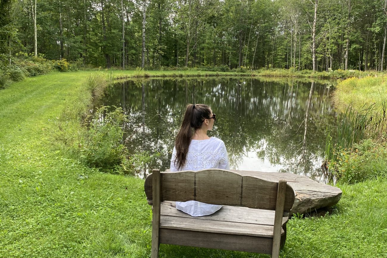 wellness in times of turmoil and chaois