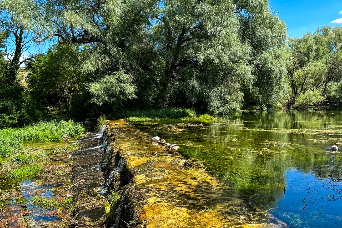 livno animals and village life 